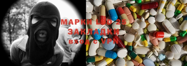 индика Балабаново