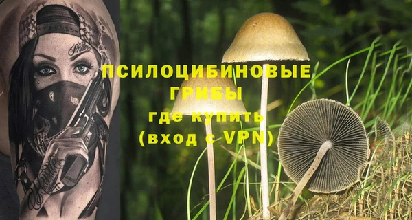 мяу мяу мука Баксан