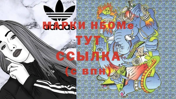 индика Балабаново