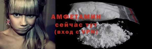 индика Балабаново
