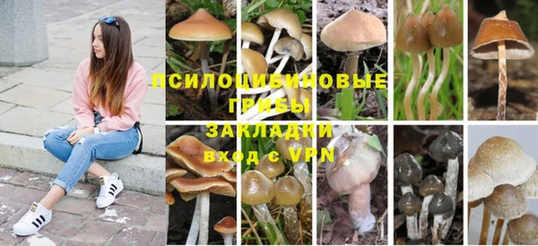 индика Балабаново