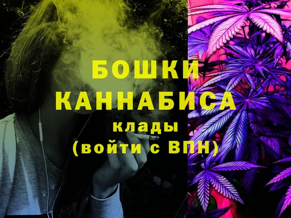 индика Балабаново