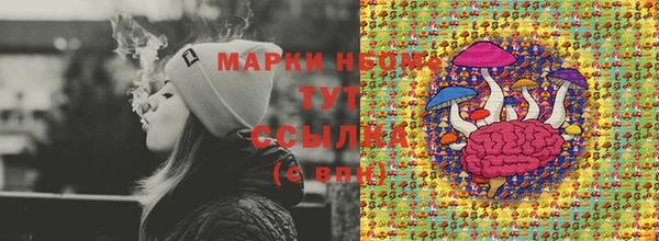 мяу мяу мука Баксан