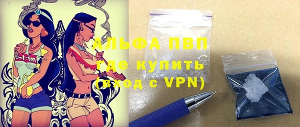 индика Балабаново