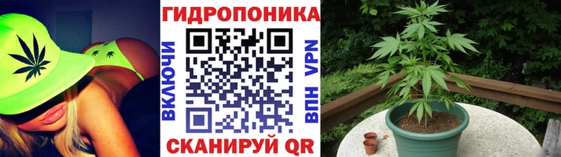 Бошки Шишки сатива Краснослободск