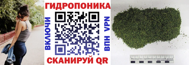 хочу   Краснослободск  Конопля индика 